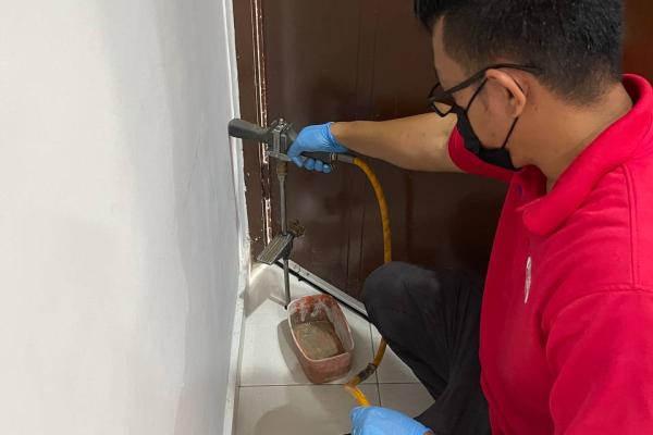 Termite Treatment
